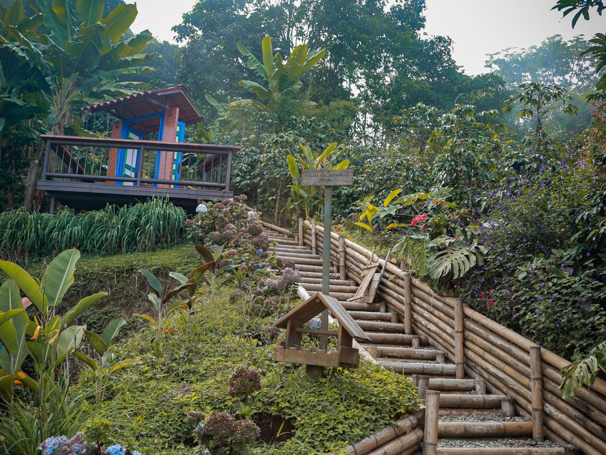 La Cima Eco Hotel Buenavista  Exterior foto