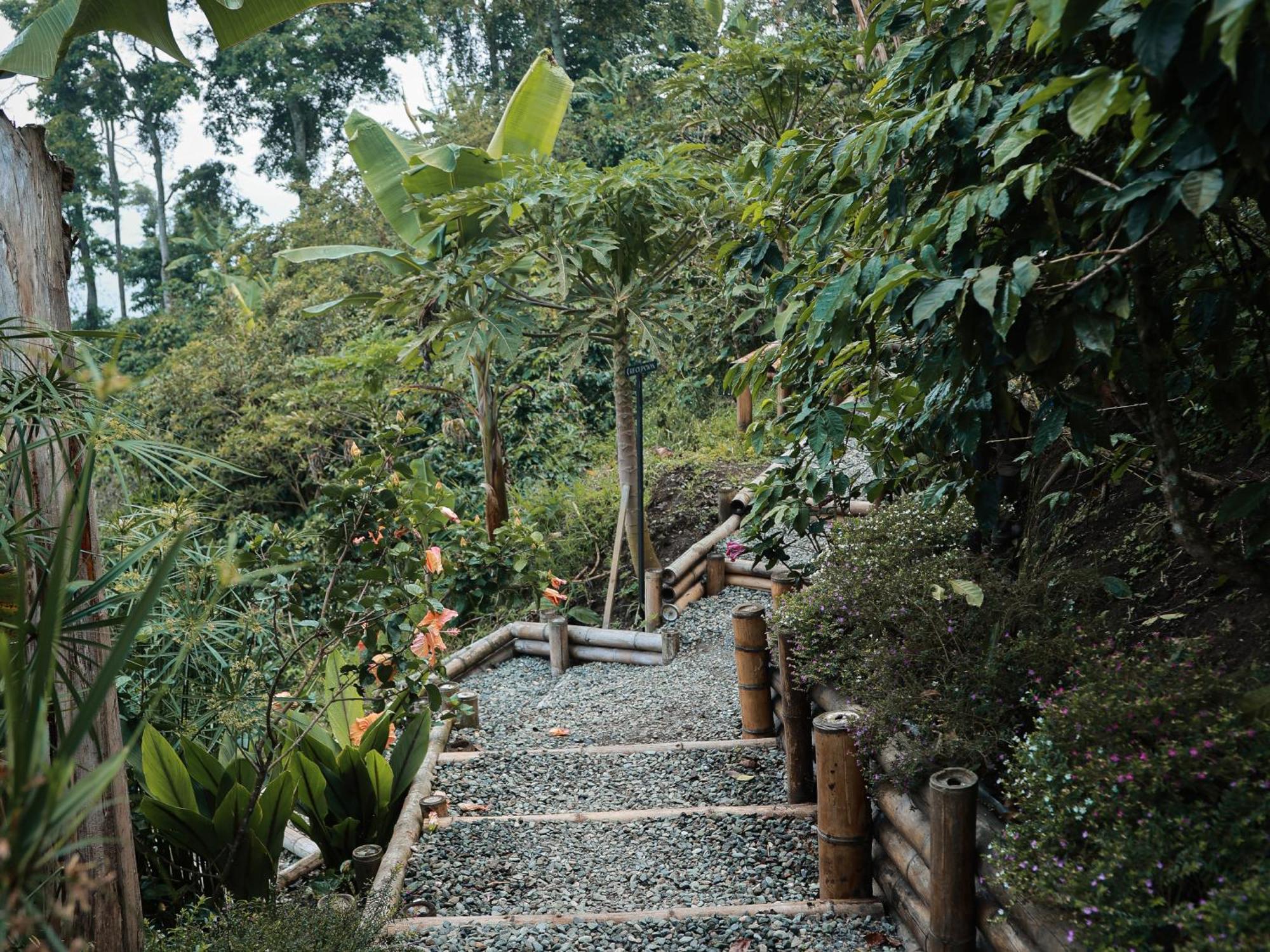 La Cima Eco Hotel Buenavista  Exterior foto