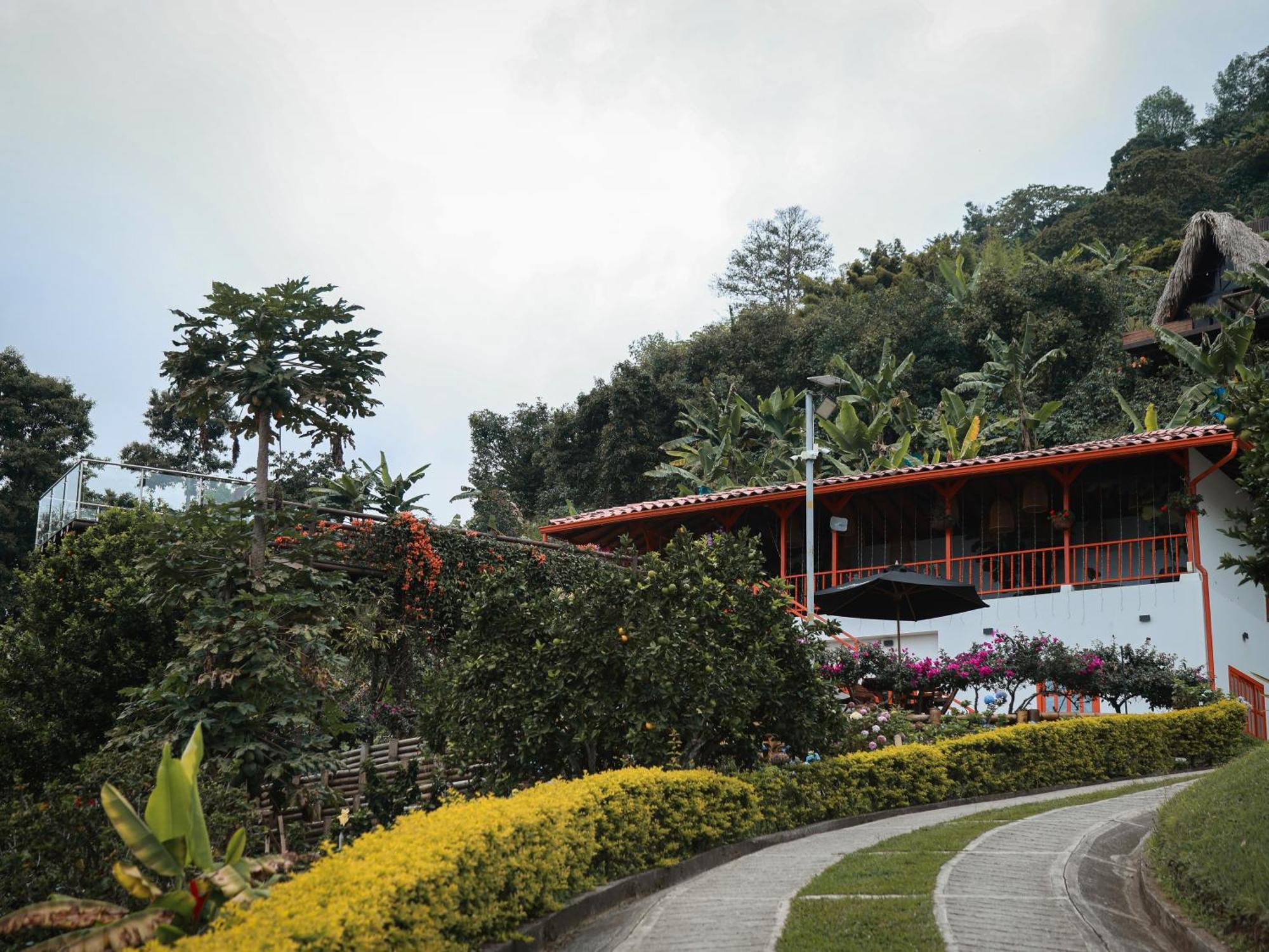 La Cima Eco Hotel Buenavista  Exterior foto