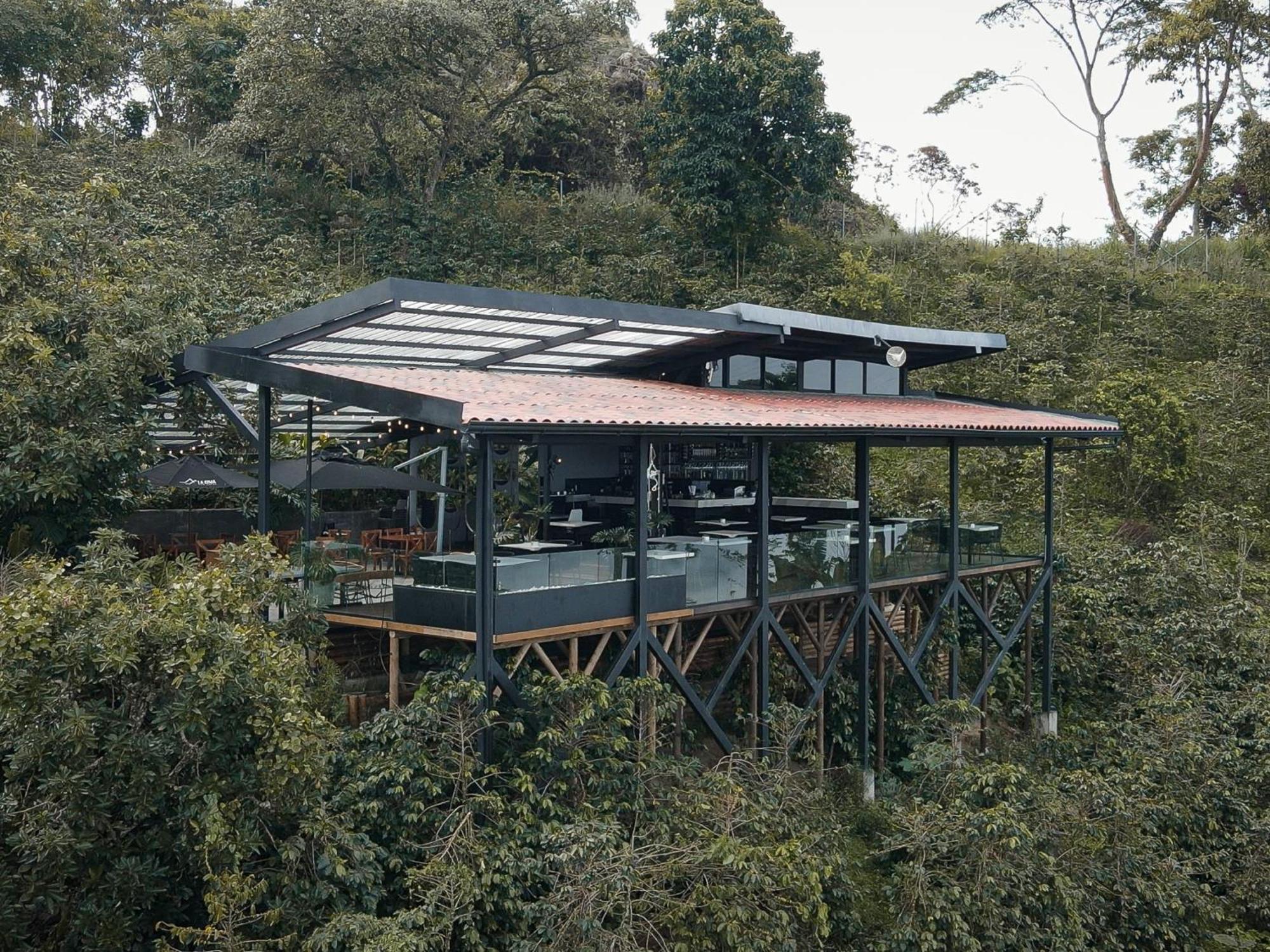 La Cima Eco Hotel Buenavista  Exterior foto